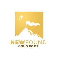 New Found Gold Corp.(@newfoundgold) 's Twitter Profile Photo