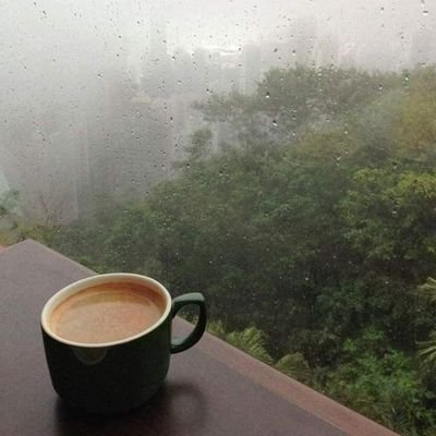 rozzygnl's profile picture. 