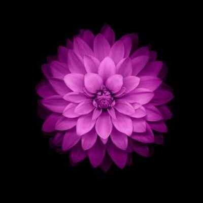 alinda_andrea's profile picture. | PERFUME ENTHUSIAST❤ |  Be kind always.