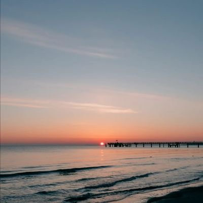 _letshego's profile picture. 