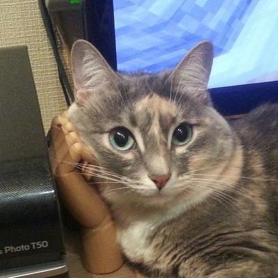 4rNQ4tbO8HnFSuk's profile picture. агрессивная амёба