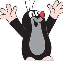 pawelklecha's profile picture. 