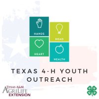 TX 4H Youth Outreach(@tx4hurban) 's Twitter Profile Photo