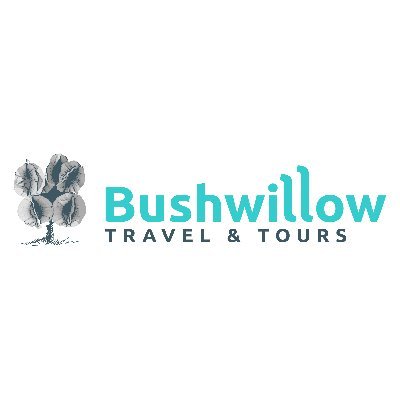 BushwillowTT Profile Picture