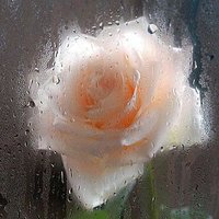 محمّد هرّامه (@m_harrama) 's Twitter Profile