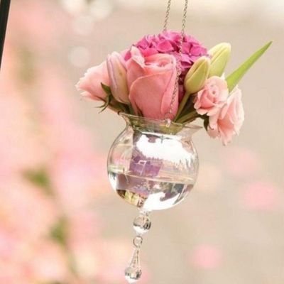 7alooma88's profile picture. لاتخلو الحياه من الصعاب !! ولكني تعلمت أن لاتترك يداي المجاديف..

(👬👫 أطفالي هم سر سعادتي 💞)