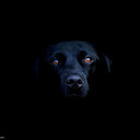 Damonte'  Williams - @Damonte601 - Twitter