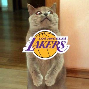 🇧ig🇧rother🇫an 🅱️🅱️#bb26 #bbau #bbuk
#Lakeshow #LetsGoDodgers #Ramshouse
#HarrisWalz2024🌊#FBR