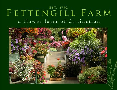 A flower farm of distiction & home to The Vintage Bazaar {semi-annual upscale vintage & artisan market}.  http://t.co/IZcLVYkknX ~ thevintagebazaar@live.com