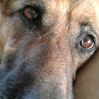 theRgTproject's profile picture. San Diego transplant.