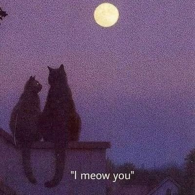 AcostaCRosa's profile picture. 