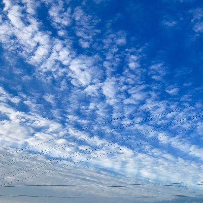 来年春から東大院で海洋工学を学ぶ予定。プログラミング言語はpython。仕事も水産関係。#python　勉強してる人一緒にしましょう。
来年から　#東大院　の人も是非友達になりましょう！