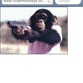 zabzdank's profile picture. im dank all dank all day I TOLD U IM DANK