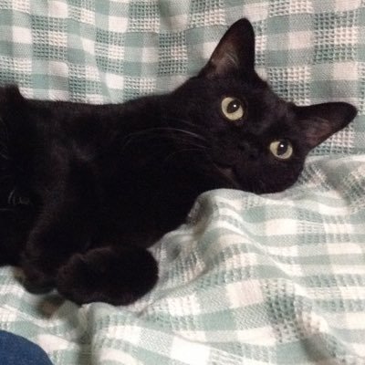 みゃぼんさんのプロフィール画像