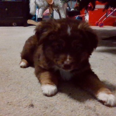 hi_whatup00's profile picture. 