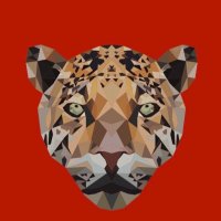 JackAndersonElemSTEM (@jae_stem) 's Twitter Profile