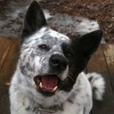 Jamie Nauman - @nawman1218 - Twitter