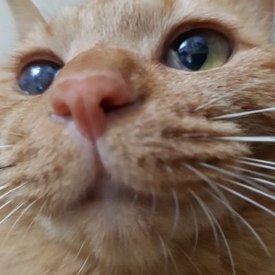 만다さんのプロフィール画像