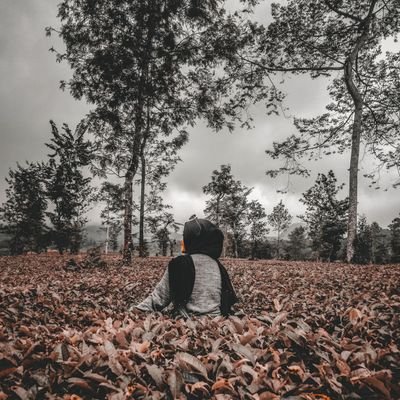 nyellirositaaa's profile picture. 