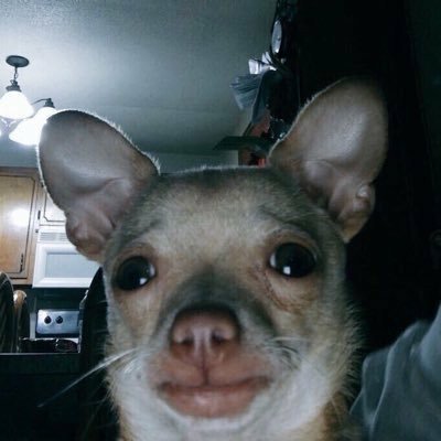 ion404's profile picture. 