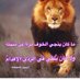 منوعات شعر وأدب (@hafefalaosaj) Twitter profile photo منوعات شعر وأدب (@hafefalaosaj) Twitter profile photo