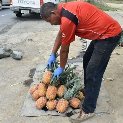 4pinas's profile picture. Soy un amante a la literatura, amo el dolor que causa tus benditas palabras, soy vago con oficio que tiene MSc y cruzando un PhD que vive el día a día.