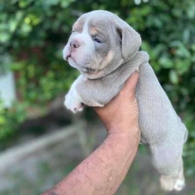 hotdoublejay's profile picture. 5’6 | 175 | athletic | cashapp-$thatguyjay413