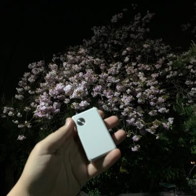 darts / vape / beer / BBQ /ヨーヨー / ベイブレード…etc 結構多趣味です　主にvape