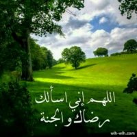 سٌيف الاسلام(@gpiiHOHXYeJtRHk) 's Twitter Profile Photo