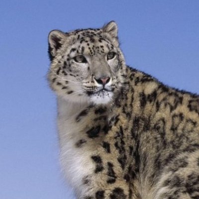 eigensan's profile picture. 何も知らなかった
そうゆうことです