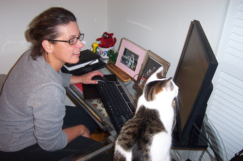 SHRMKnowledge's profile picture. SHRM Members - we've been there. We're experienced, certified HR pros, ready to help with your HR-related questions M-F 8:30 am – 8:00 pm, ET.