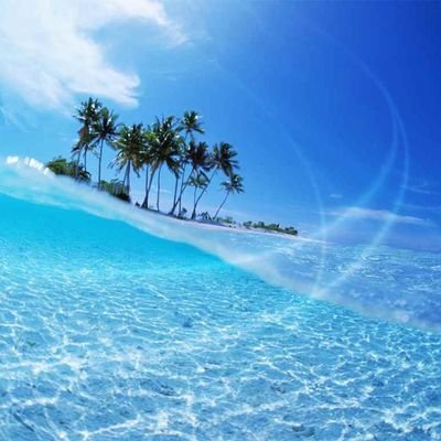 vmMnXsce726qLXh's profile picture. 「never give up」「たった一度の今日という日」

仮想通貨、ＮＦＴ、トレード などを勉強中。
これから必ず来るであろう未来の為に。

$BIT #SOL＃BNB　　X4DJDLKP