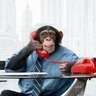 calamero11's profile picture. it's an injusteece