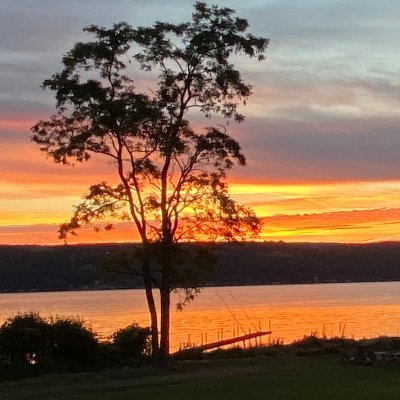 my_alt_acct's profile picture. 