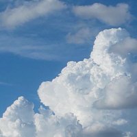 香織@ (@kaofool) 's Twitter Profile