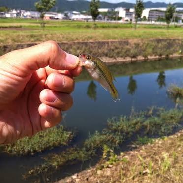 琵琶湖でオカッパリならどとでも行きます。
琵琶湖で釣りしてる方の情報共有の為、琵琶湖で釣りしてる方全てと繋がりたく無断フォロー失礼します。
目指せ琵琶湖のバザーフォロワー日本一！！！