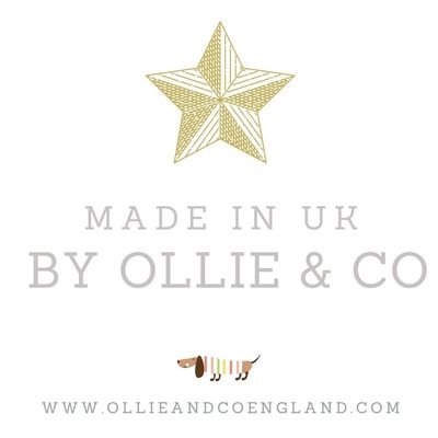 for dogs from country to coast...
designed for every adventure!
#ollieandcoengland