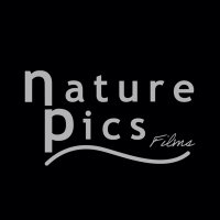 NaturePicsFilms • Yvonne & Tilo Kühnast(@NaturePicsFilms) 's Twitter Profile Photo
