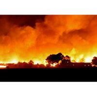 VBFD Media (@vbfdmedia) 's Twitter Profile