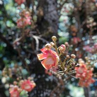 Nadine Andria (@nadineandria) 's Twitter Profile Photo