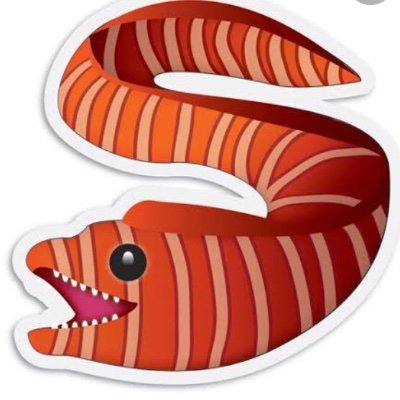 rogy09's profile picture. NRL DFS