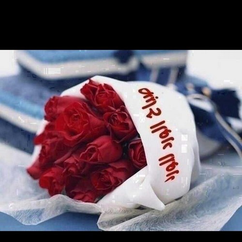 alswiji's profile picture. من لاكسب والنعم في شبابه والله فلا تنقاله لاغدا عود