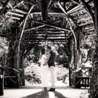 George Purcell (@purcellgeorge) 's Twitter Profile