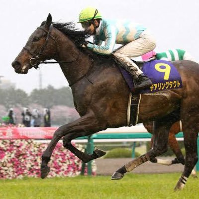 荒野行動・競馬•プロスピAについて主にツイートしていくので,フォローよろしくお願いします!#荒野行動