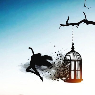 پرندگانی که در قفس به دنیا می آیند، تصور می‌کنند که آزادی یک بیماری ست...