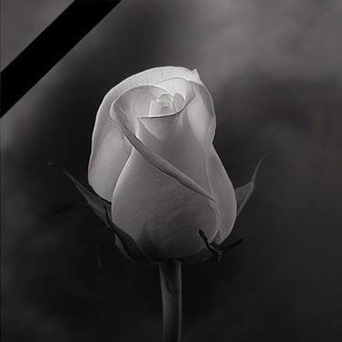 MahaniElyas's profile picture. 