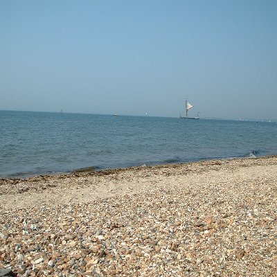 Rod 🏴‍☠️🦎 Profile