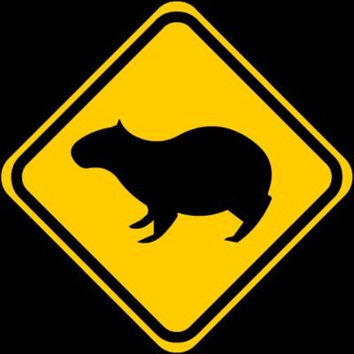 chiguirellino's profile picture. 