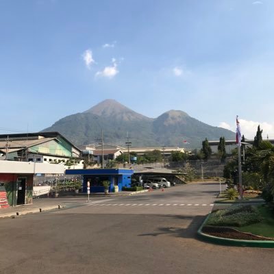 faridgw2's profile picture. 