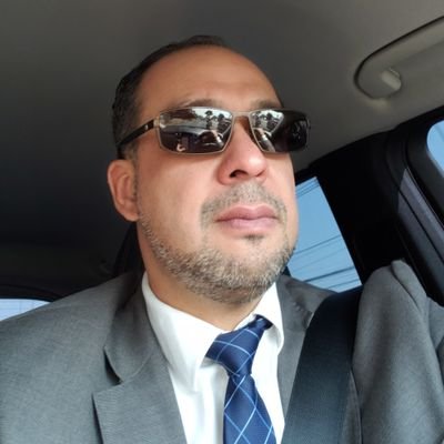 Auditor de empresas y Consultor Ambiental.